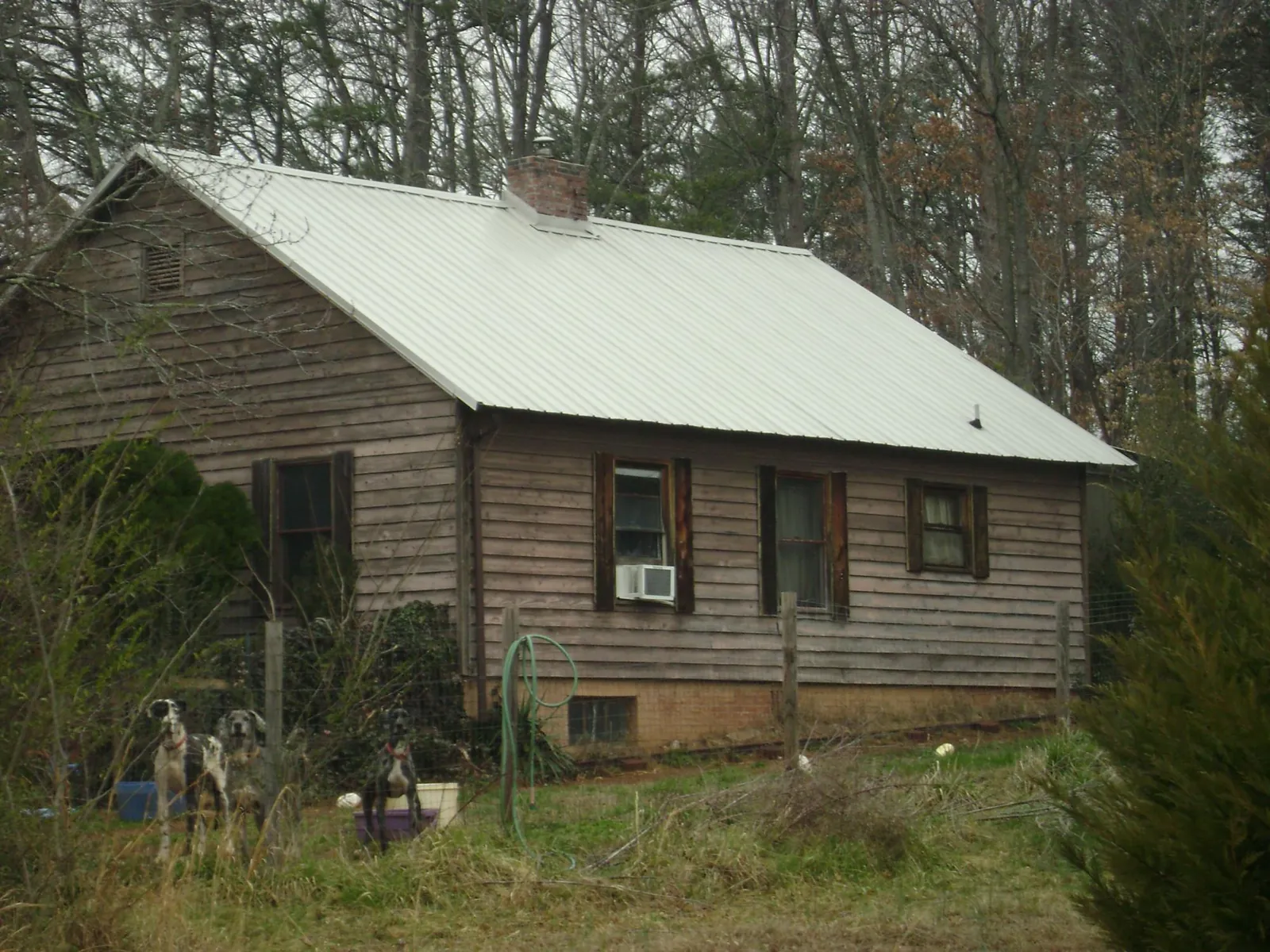 White metal roof on an old wood sided farmhouse, from a Asphalt Shingle Roof Repair job in Pebble Beach
